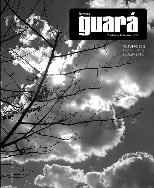 					Visualizar n. 9 (2018): Suplemento 1
				
