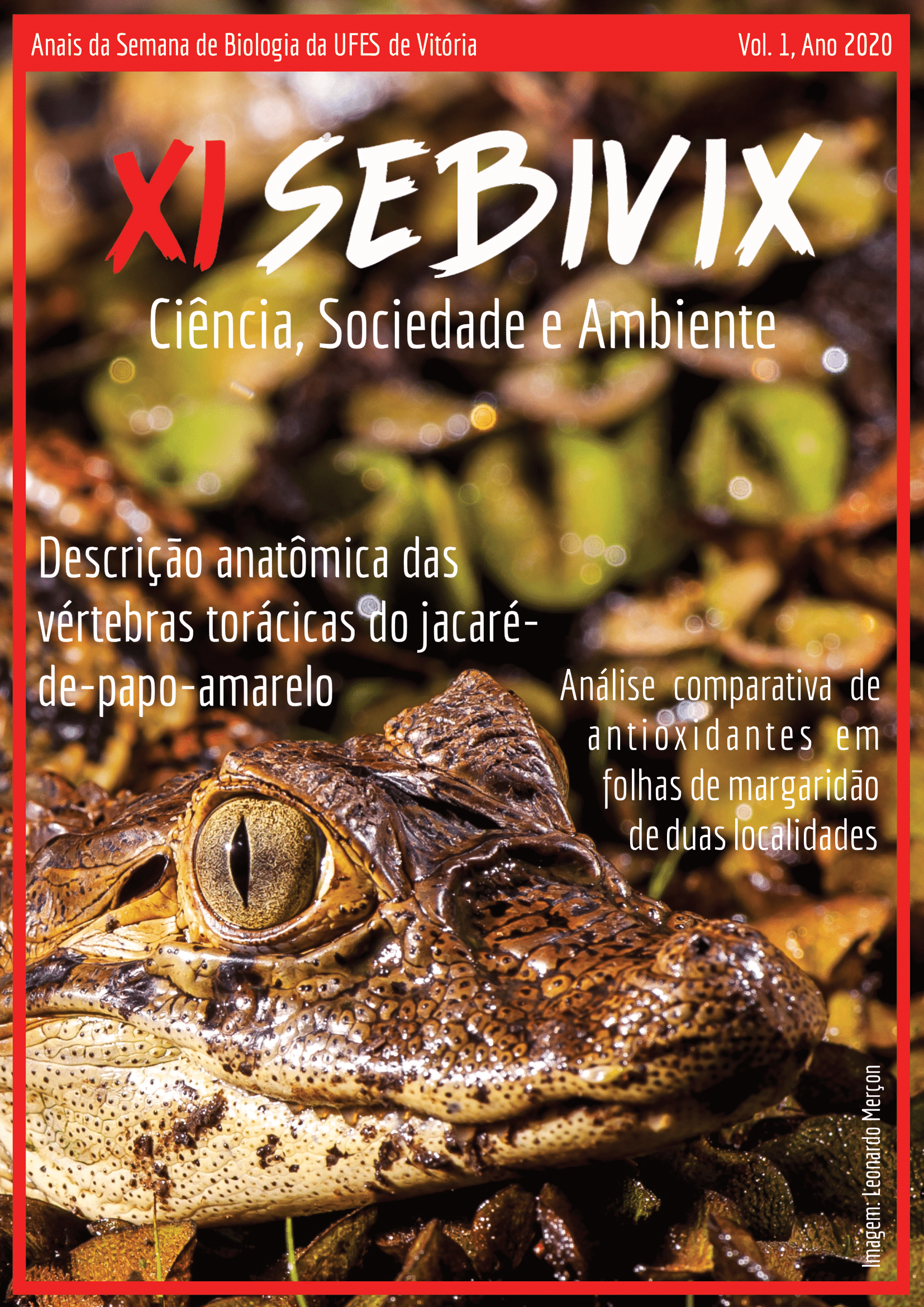 Anais da Semana de Biologia da UFES de Vitória vol. 1 (2020) Imagem: Leonardo Merçon (Instituto Últimos Refúgios)
